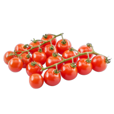 Noordertrots mini tros cherry tomaatjes